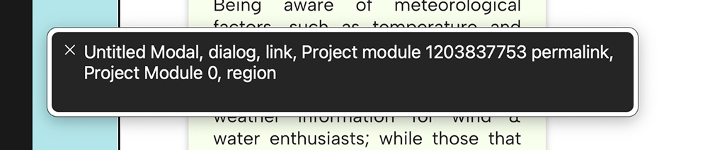 small black box that reads: Untitled Modal, dialog, link, Project module 1203837753 permalink, Project Module 0, region